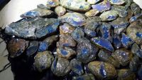 Blue amber ( Sample Available )