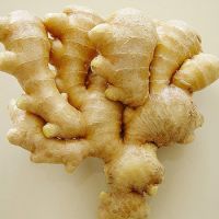 High quality Air Dry Fresh Ginger supplier