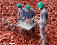 Himalayan Salt