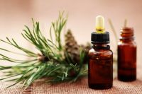 Pine Needle OIl
