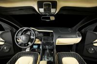 Luxury individual auto leather interior