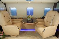 Leather seat covers and wall paneling for aircrafts