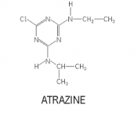 ATRAZINE IMPURITY (ACETYL SALICYLIC ACID)