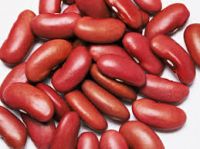 Wholesale Price Kidney Beans Good Price