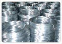 Electro Galvanized  Wire