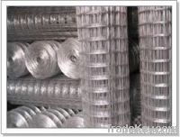 Galvanized Welded Mesh