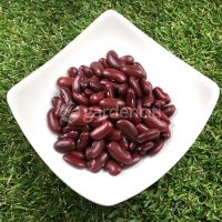 Organic Red Kidney