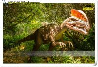 Animatronic Dinosaurs outdoor theme park