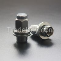 wheel lock nut
