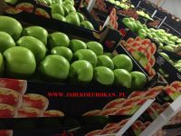 Polish Apples From The Manufacturer, Red