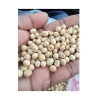 Whole Dried Yellow Peas, YELLOW PEAS, Whole Yellow Peas