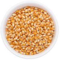 Premium Quality Yellow Corn Kernels For Animal Feed And Human Consumption Bulk Supply Export Grade