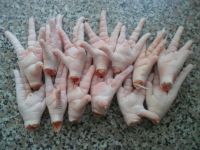 Clean Chicken Paws, Fresh Chicken Feet forsale
