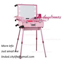 Professional Trolley Makeup case