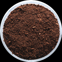 Peat Moss