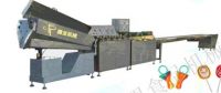 Crutch Lollipop Production Line (FLD-300)