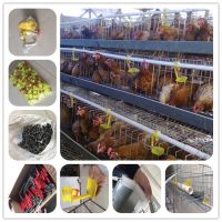 battery chicken layer cage sale for pakistan farm