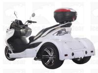 Ice Bear Zodiac 300cc Motor Trike PST300-19 Price 1200usd