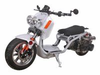 Ice Bear Maddog PMZ150-21 150cc Scooter Price 600usd