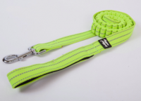 New design Elastic shock damped Dog leash with spring rope