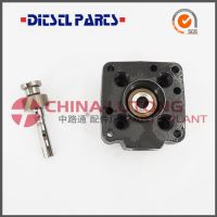 Ve Distributor Head Rotor for Nissan OEM 146403-3120 Vehicle Engine Parts