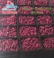 Sweet Japan Potatoes from VIETNAM (0084 1679756513)