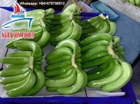 FRESH CAVENDISH BANANA