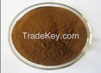 Echinacea Extract