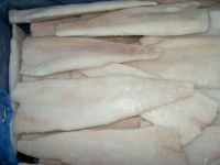 frozn alaska pollock fillets