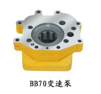 BB70 variable-speed pump