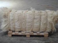 Best Quality Sisal Fiber