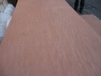 wholesale Commercial Plywood combi core MR glue