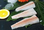 Frozen Alaska Pollock Fillets