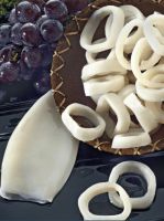 Frozen Squid Tubes