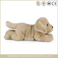 Plush Dogs