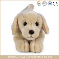 Plush Dogs