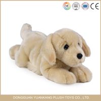 Plush Dogs