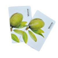 MF1 S50 RFID Chip Card ISO