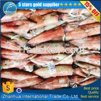 2017 New Catching Whole Round 200g-300g Available For Sale