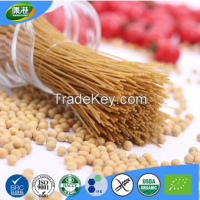 OEM factory wholesale organic bean italian pasta