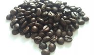 Robusta and Arabica Roasted Coffee Beans