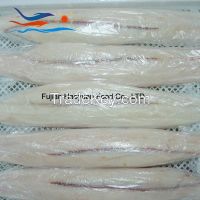 New Frozen Shark Fillet