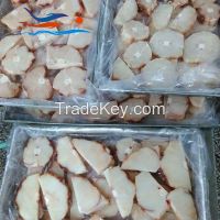 Offering Frozen Shark Fillet