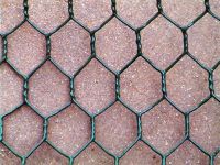 chicken wire mesh 