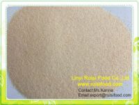 New crop dehydrated garlic granule From China