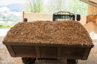 Biomass Wood Chip Fuel