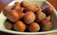 Hazel Nuts