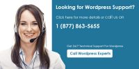 Wordpress Tech Support Phone Number - 1