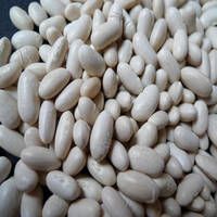 Kidney White Beans