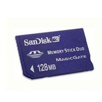 MS Card